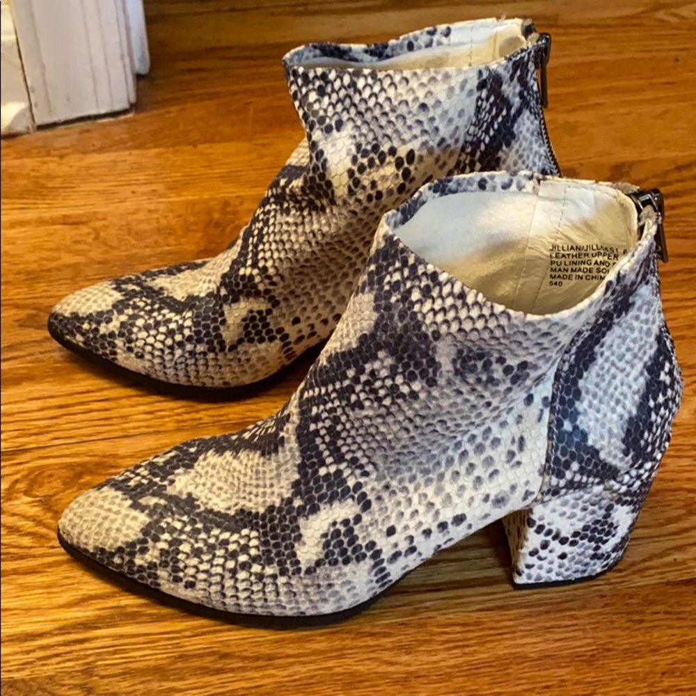 Snake skin booties STEVE MADDEN